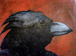 Birdman 3  60x80 cm